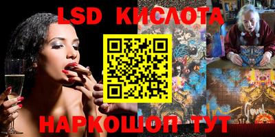 шишки Жуковский