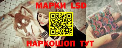 шишки Жуковский
